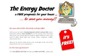 The Energy Doctor - DIY Home Energy Efficiency Survey